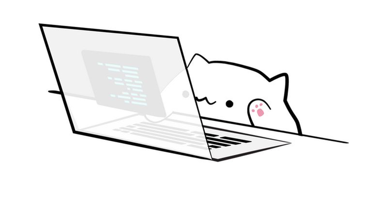 cat coding
