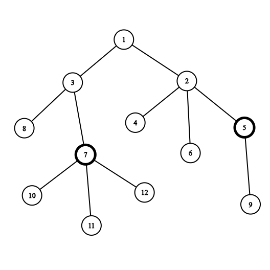 graph (3)
