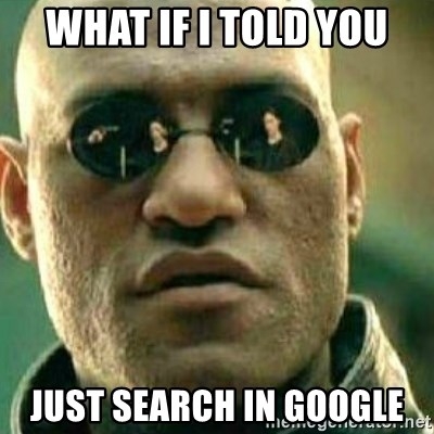 what-if-i-told-you-just-search-in-google
