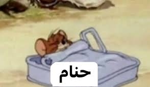 @Taha.Elbanna Codeforces avatar
