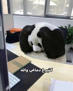 @Esraa_hediehid Codeforces avatar